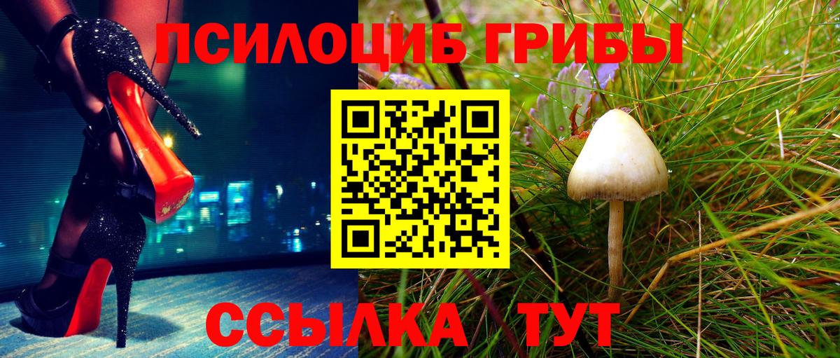 Элиста  Псилоцибиновые грибы Psilocybe  Вход с VPN  Псилоцибиновые грибы мухоморы 