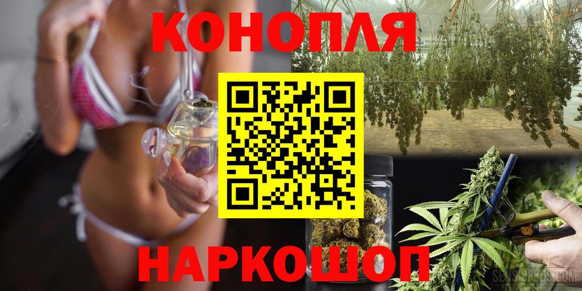 Бошки марихуана план  Вход с VPN  Канабис сатива  Элиста  Каннабис SATIVA & INDICA  Канабис гибрид 